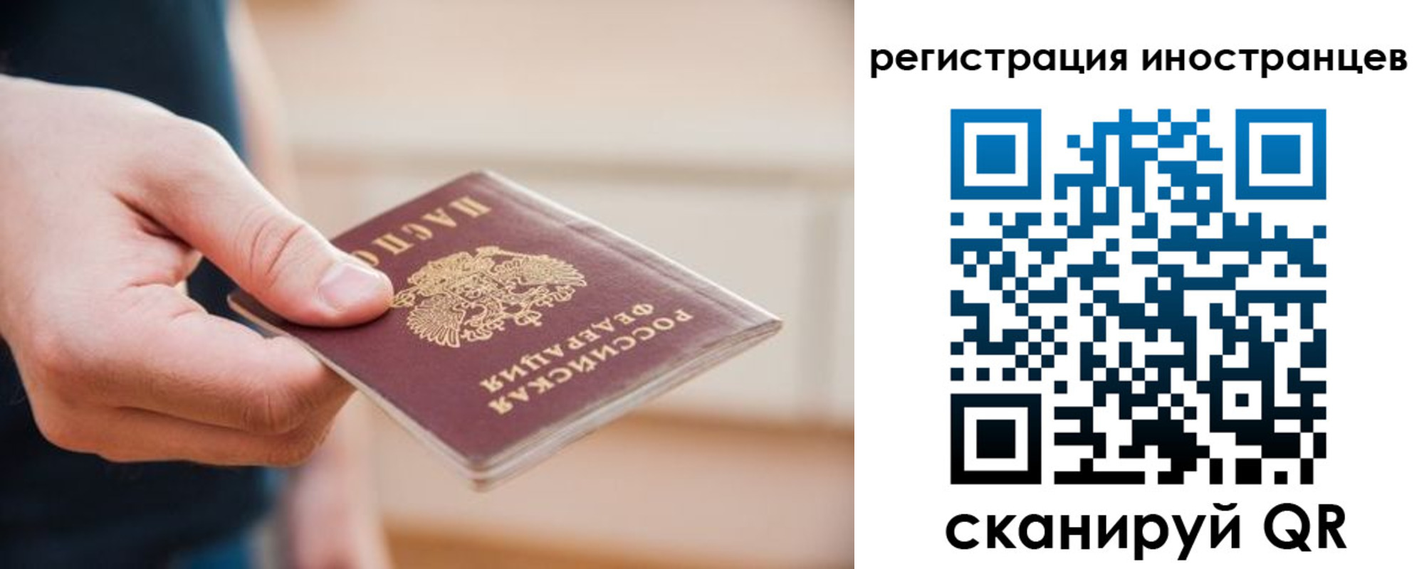 прописка гарантия в Сальске